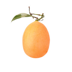 Wall Mural - Maprang Fruit (Marian plum, Plum mango) isolated on transparen png. with clipping path