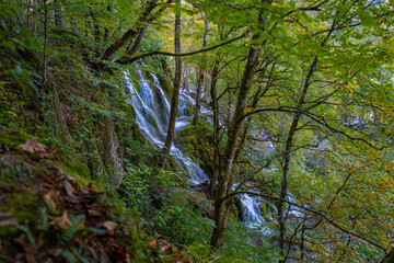 Nature and landscape. Waterfalls in the forest flowing into lakes. Tourists visit famous Plitvice park in Croatia. Mountain streams with clear water. Waterfalls of Plitvice Lakes on a summer day.