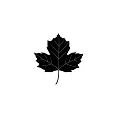 Wall Mural - Silhouette of a maple leaf on a white background.