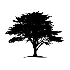 Wall Mural - Silhouette of a tree against a white background.