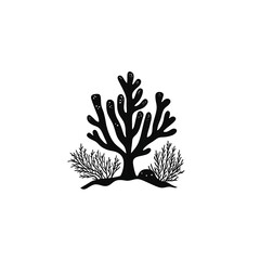 Wall Mural - Black coral illustration with surrounding flora.