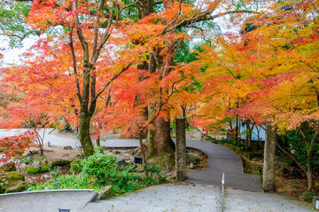 Wall Mural - 秋の竈門神社　福岡県太宰府市　Kamado Shrine in autumn. Fukuoka Pref, Dazaifu City.