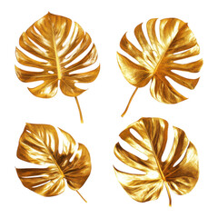 Golden Monstera Leaves: Tropical Decor on transparent PNG background.