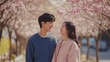 © O - couple in love  enjoying cherry pink blossoms in spring. Blooming sakura in sunny day and young people walking near trees.