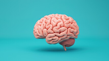 Poster - Realistic 3D Brain Model on Bright Blue Background for Illustrations