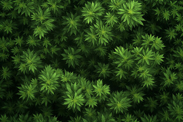 Poster - A fractal forest canopy viewed from above, with infinite layers of leaves