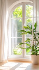 Wall Mural - A bright window with sheer curtains and a potted plant.