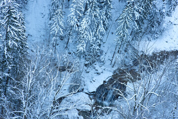 Wall Mural - aerial view at the winter forest under snow and waterfall.