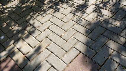 Aufkleber - A series of interlocking concrete pavers arranged in a herringbone pattern accentuated by shadows cast by nearby foliage. The sharp edges of the pavers create a visually dynamic