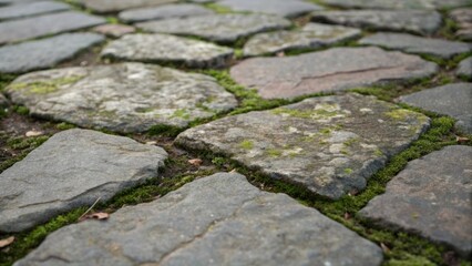 Poster - A zoomedin perspective of unevenly p stones showcasing the rugged edges and organic shapes with patches of lichen creeping over the surface evoking a sense of history and natural