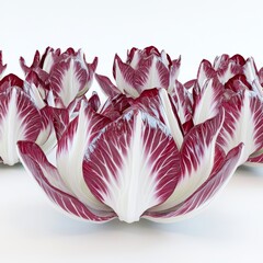 Wall Mural - Vibrant Red and White Radicchio Leaves Displaying Unique Texture and Form for Culinary and Botanical Use