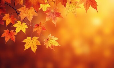 Wall Mural - Vibrant autumn leaves on a warm background