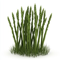 Wall Mural - Fresh and Vibrant Asparagus Stalks on White Background for Culinary and Health-Focused Designs