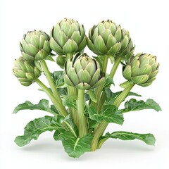 Wall Mural - Fresh Green Artichokes on Leafy Stems Against a Clean White Background