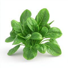 Wall Mural - Fresh and Vibrant Green Spinach Leaves Arrangement on White Background for Healthy Cooking and Dietary Choices