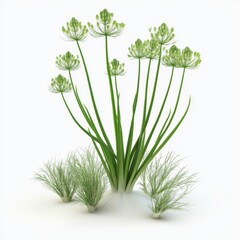 Wall Mural - Green Flowering Plant Cluster with Delicate Blossoms and Vibrant Green Leaves Growing in Fresh Soil