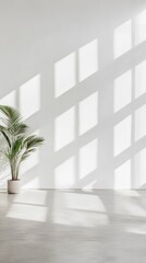 Fototapete - Sunlight streaming through a window casts a grid like shadow on a white wall in a minimalist interior, illuminating a potted plant on a gray concrete floor, creating a serene and modern atmosphere