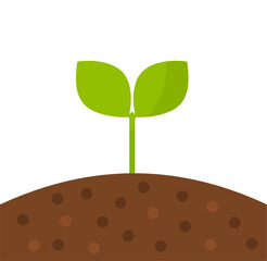 Wall Mural - little green plant growing in soil. spring garden concept. vector illustration.