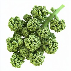 Wall Mural - Fresh Green Broccoli Florets With Detailed Texture and Rich Color for Healthy Cooking and Food Presentation