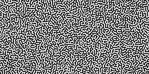Poster - Turing reaction diffusion monochrome seamless pattern with chaotic motion .Linear design with biological shapes. Organic lines in memphis. abstract turing organic wallpaper background .	
