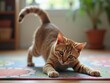 © PixelVision - Yoga instructor cat demonstrating a stretching pose in a bright indoor space