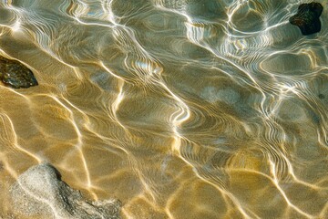 Wall Mural - tranquil ocean water surface with reflections of sunlight dancing over sandy bottom and subtle stone