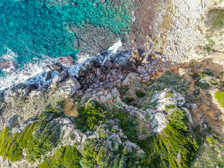 Wall Mural - Aerial view of a rocky shore with green plants and turquoise water