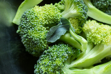 Ripe fresh green broccoli vegetable close up macro