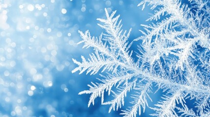 Poster - Beautiful Snowflake on a Blue Background with Soft Bokeh Effect