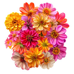 Wall Mural - Vibrant Bouquet of Dahlias and Zinnias: A Celebration of Color and Nature's Beauty