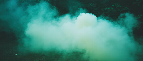 Poster - Smoke drifting through a dense forest creates an eerie and mysterious atmosphere