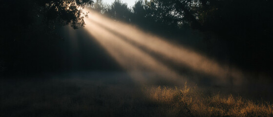Aufkleber - Mysterious beams of light cutting through dense fog in a serene forest setting