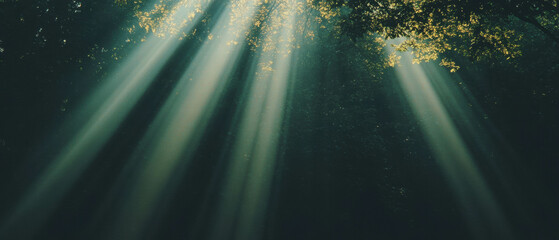 Poster - Sun rays create dramatic contrast against a dark background