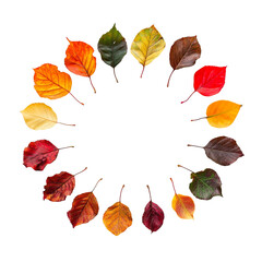 Wall Mural - Autumn Leaf Circle: A Vibrant Symphony of Fall Colors