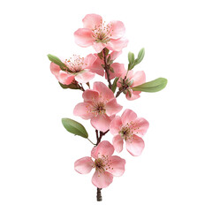 Wall Mural - Delicate Pink Blossoms on a Dark Background