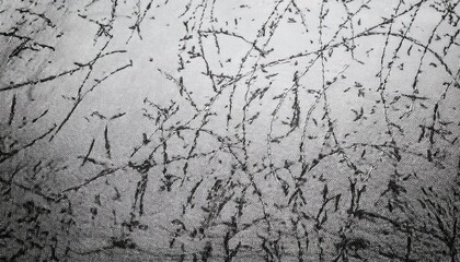 Poster - abstract black tree branch patterns on textured silver fabric background for artistic, textile, or design inspiration