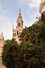 Tower of the Cathedral of Seville