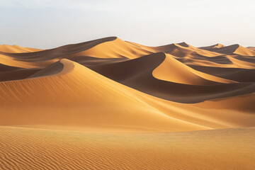 Wall Mural - A serene view of undulating sand dunes illuminated by soft sunlight.