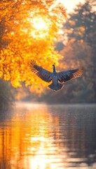 Wall Mural - A serene scene of a bird flying over a tranquil lake surrounded by autumn foliage.