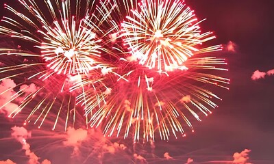 Wall Mural - fireworks in the sky