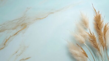 Wall Mural - Elegant Pampas Grass on Marble Background Light Blue Aesthetic Minimalist Design