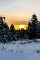 Wall Mural - Romantische Winterwanderung auf den höchsten Gipfel vom Rennsteig - der Schneekopf bei Schmiedefeld im Abendlicht - Thüringen - Deutschland