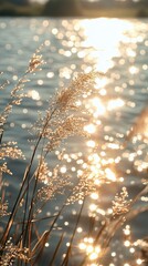 Wall Mural - Golden hour, lake reeds, sunset, calm water, nature scene