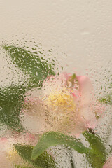 Wall Mural - Soft focus  flower bouquet through glass with wet water drops. Abstract nature blur beige pastel background.