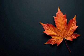 Orange maple leaf against a dark grey background, autumn leaves, moody, color