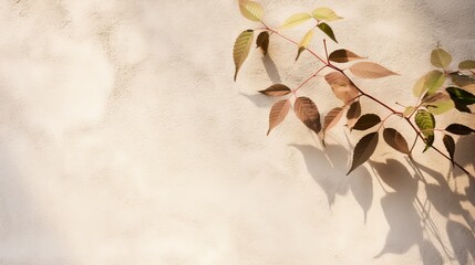 Poster - Soft sunlight dances on delicate leaves against a textured wall in serene afternoon. Generative AI