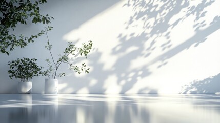 Poster - Bright indoor space with plants casting shadows on a clean white wall during daylight hours. Generative AI