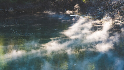 Wall Mural - Thermal pools lakes puddles new zealand tokaanu steaming in nature beautiful forest bush