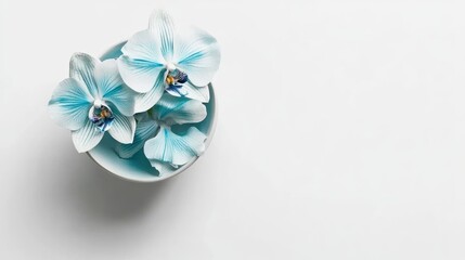 Poster - A minimalist desk setup featuring a blue and white orchid vase, captured from above.