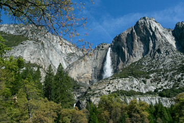 Wall Mural - Yosemite falls park